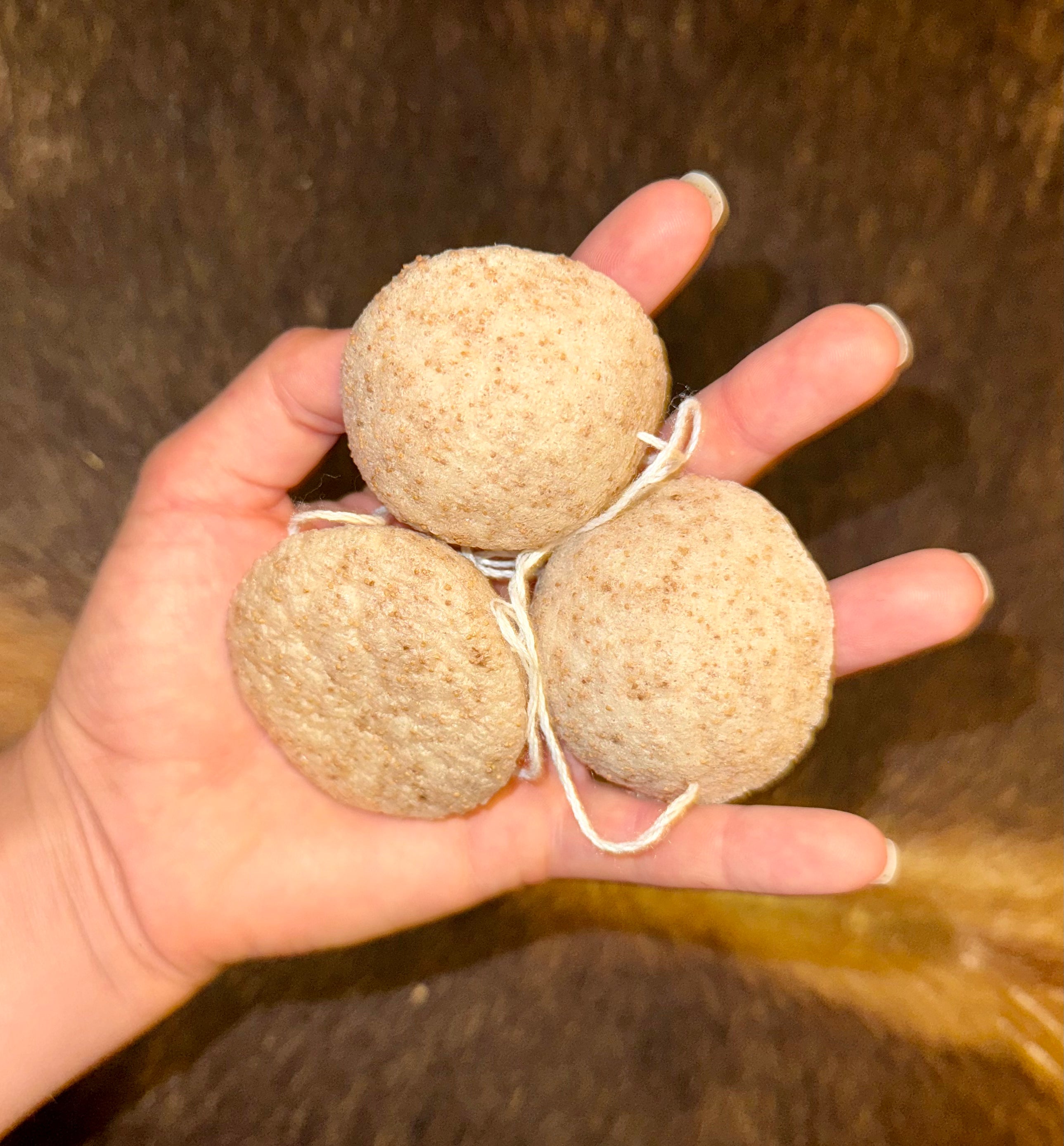 Konjac Sponge