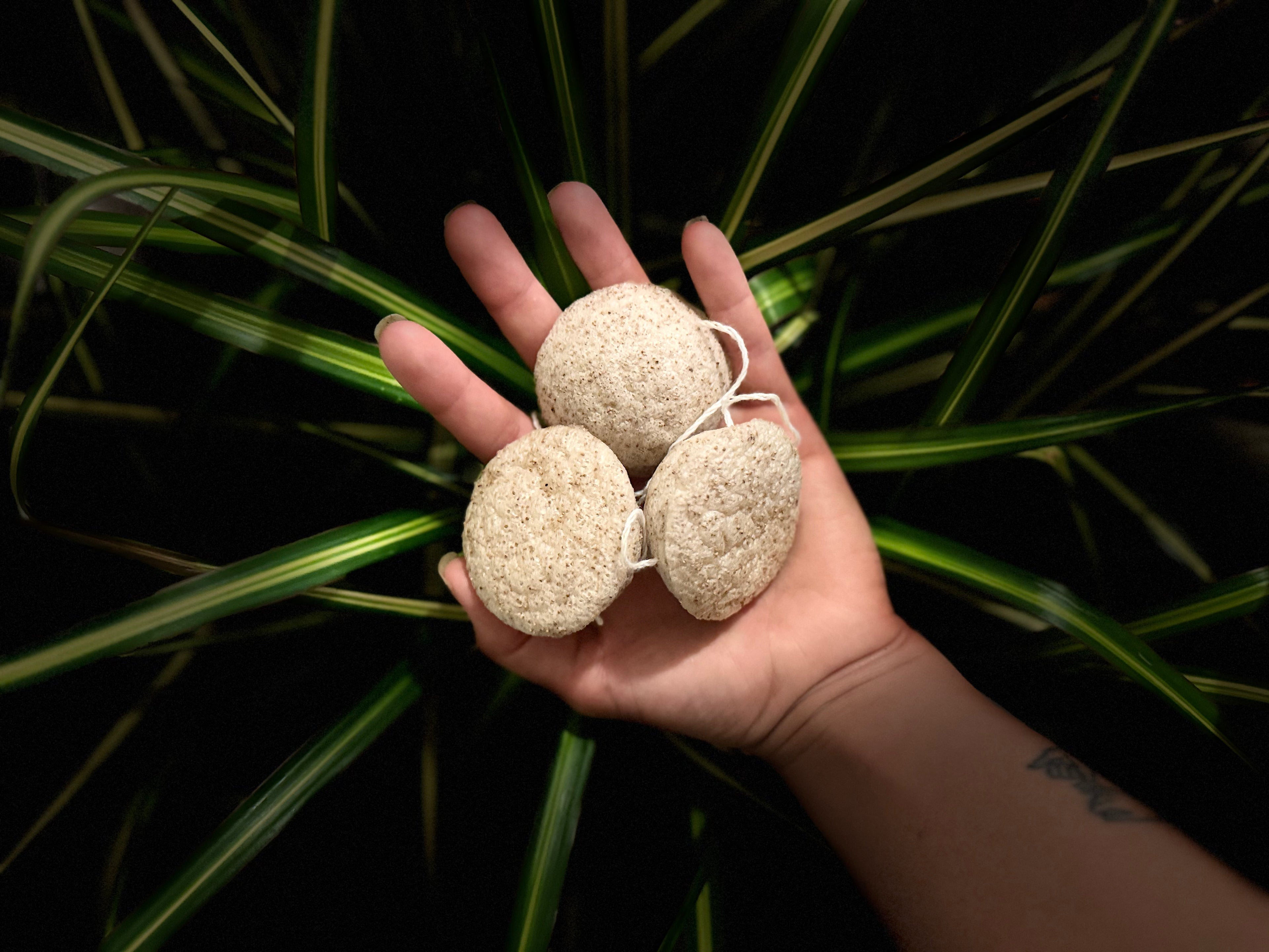 Konjac Sponge