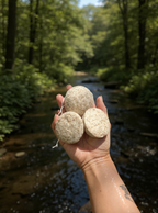 Konjac Sponge