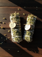 Ruda Rue Smudge Stick