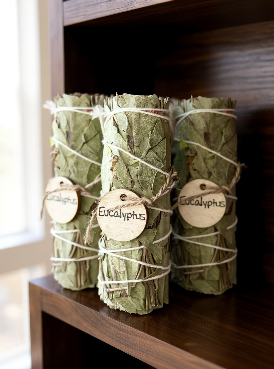 Eucalyptus Bliss Smudge Stick